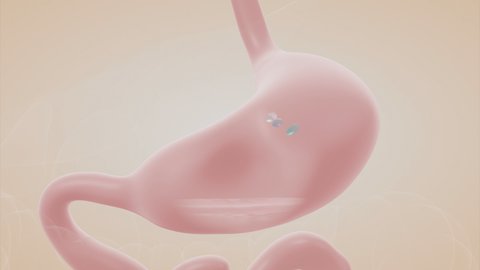 Wirkstofffreisetzung sichtbar gemacht: 3D-Animation für GELITA