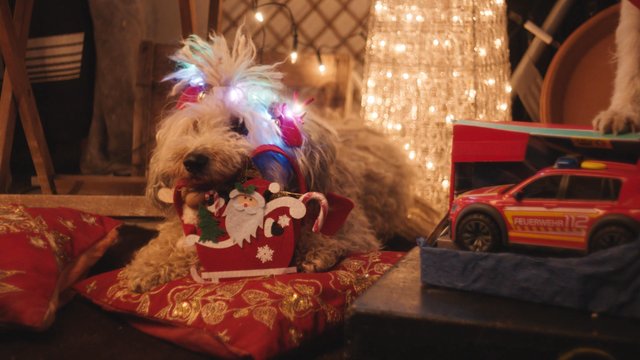 E.ON: Dog Christmas: der Weihnachtsfilm mit Millionenreichweite für E.ON