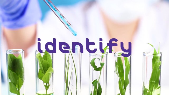 Merck: Translational Cosmetics