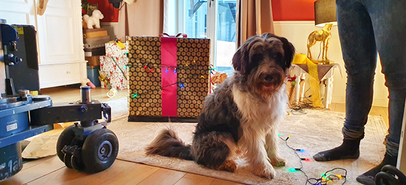 Pet-Content und B2B: videoboost und E.ON landen erneuten Klickerfolg