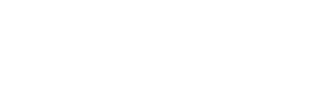 veloxvideo Negativ-Logo mit Sicherheitsabstand
